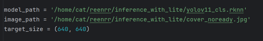 inference.py修改内容